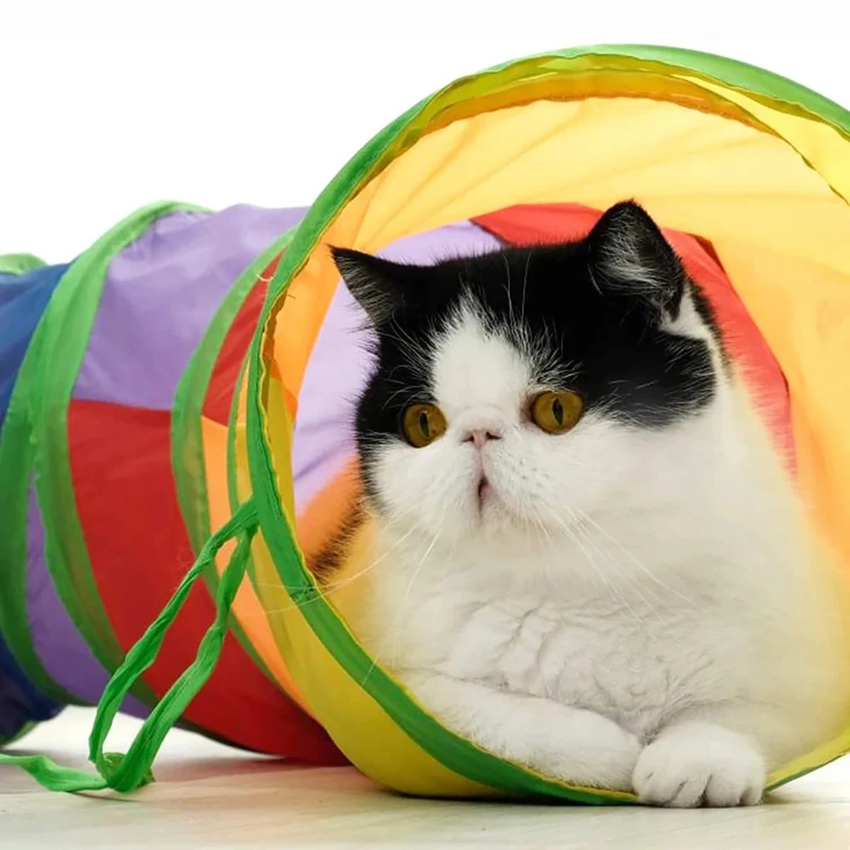 Collapsible Cat Play Tunnel - Image 3