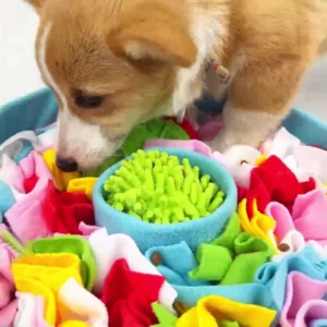 Dog Snuffle Mat